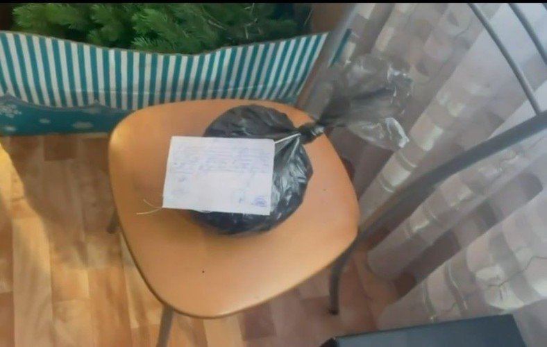 Сколько «весят» 108 граммов сушёной конопли?