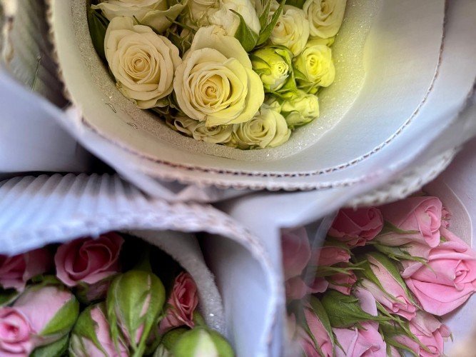 71 тонну цветов принял и отправил аэропорт Сочи