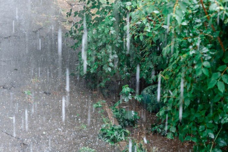 Гром и молнии! Синоптики обещают дождливые выходные