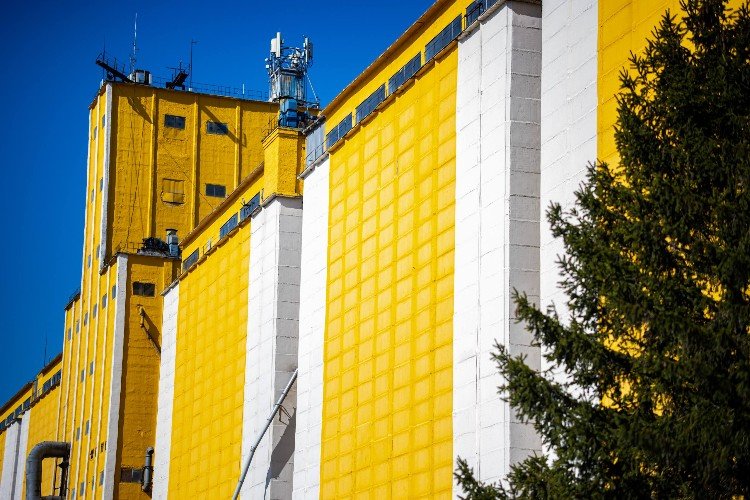 На Кореновском элеваторе готовятся к новому сезону заготовки зерна