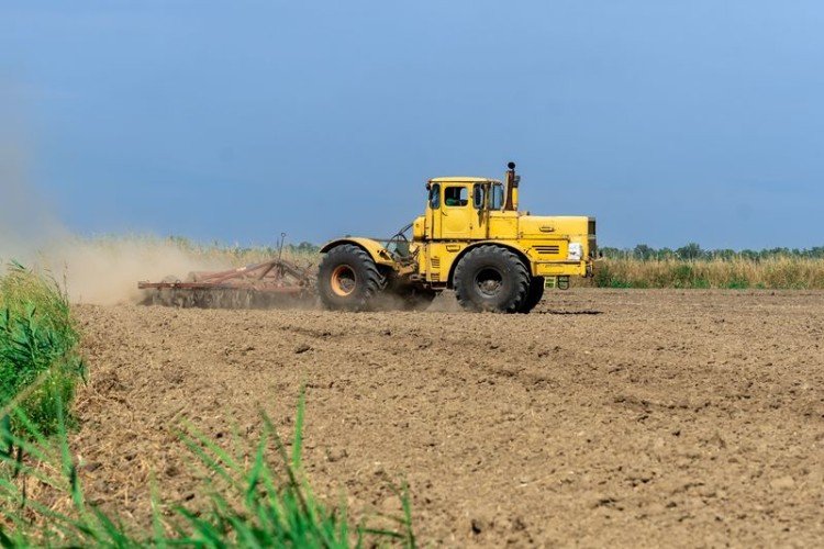 На Кубани завершили сев ранних яровых культур