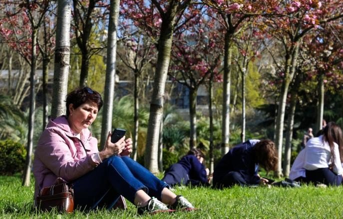 Ничего святого: как мошенники крадут данные под видом поиска?