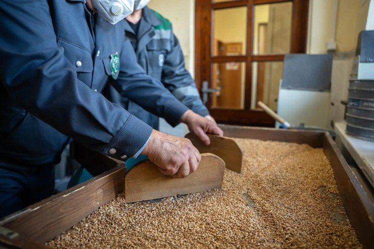 19,2 млн тонн кубанской продукции ушло на экспорт