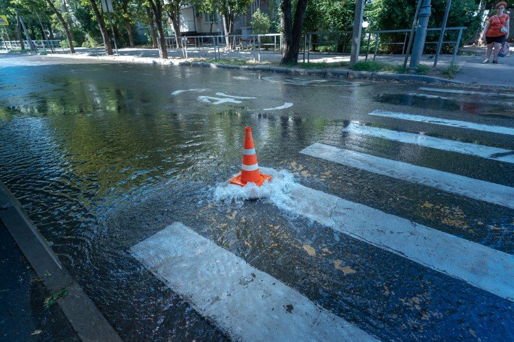 Собак отловят, дорогу перекроют: в Усть-Лабинске ведутся плановые работы
