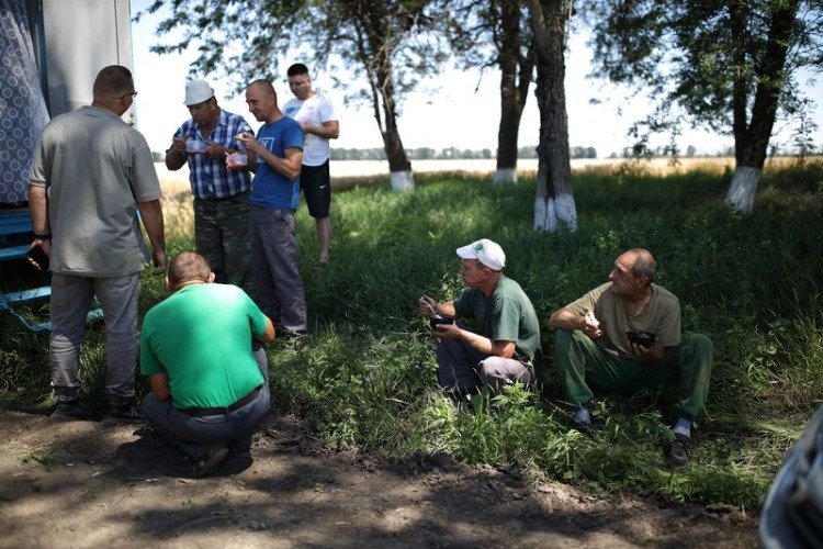 Новые меры поддержки кубанских аграриев